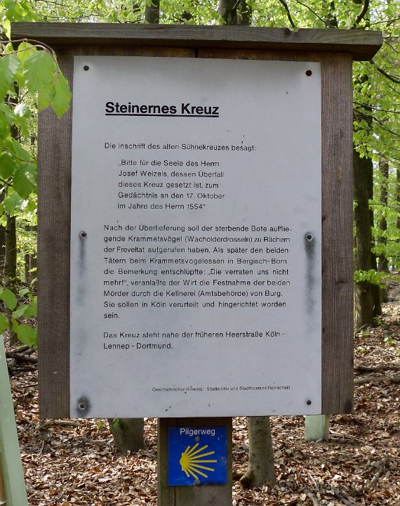 GTW 26-04-14 BergBorn 05