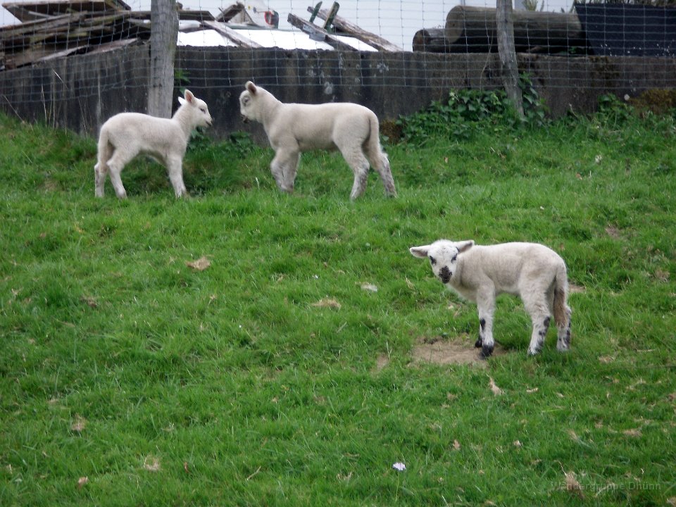 GTW 26-04-14 BergBorn 08