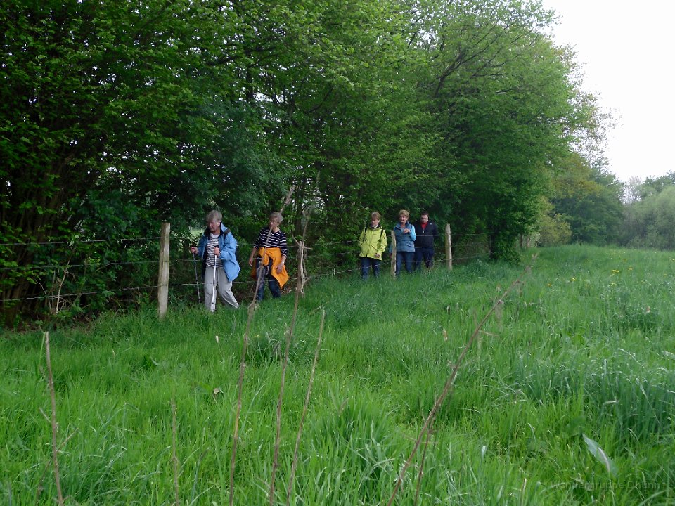 GTW 26-04-14 BergBorn 11