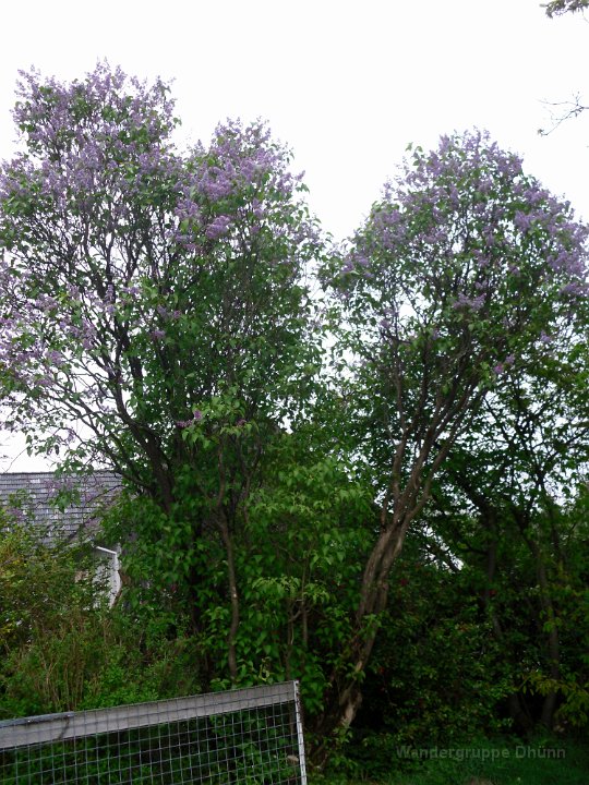 GTW 26-04-14 BergBorn 12