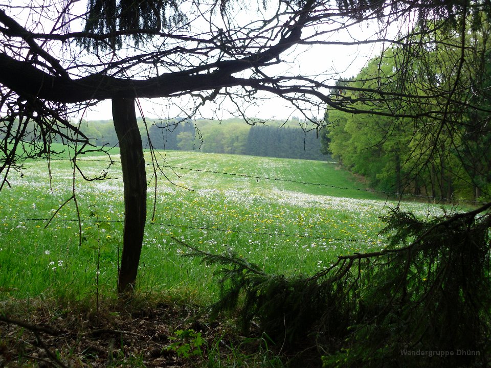 GTW 26-04-14 BergBorn 19