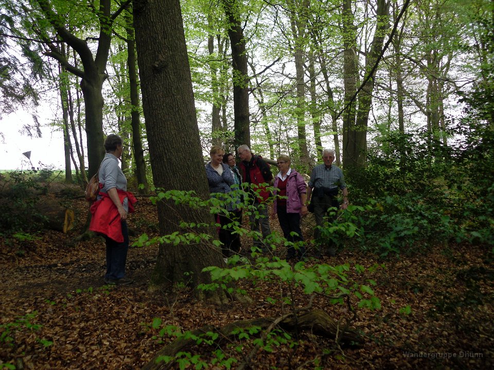 GTW 26-04-14 BergBorn 20