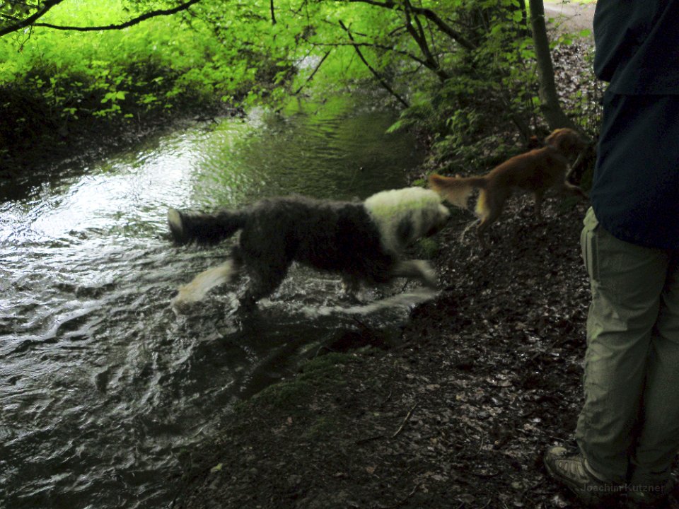 GTW 29-05-14 Jugend 07