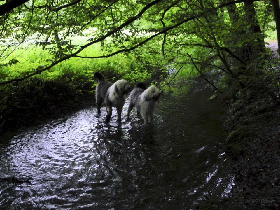 GTW 29-05-14 Jugend 08