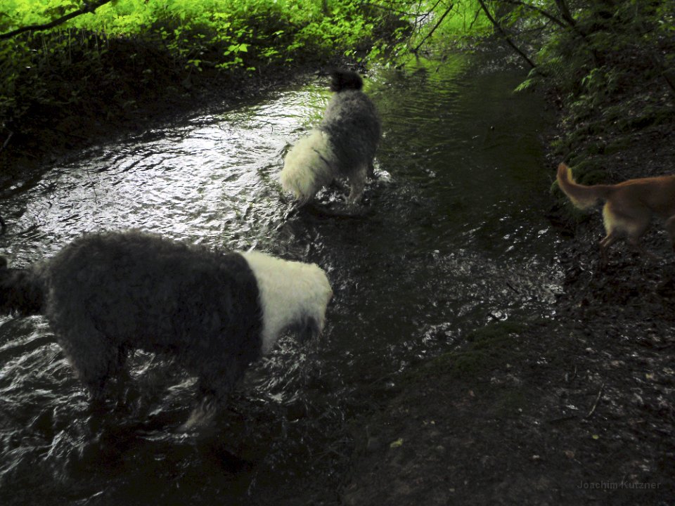 GTW 29-05-14 Jugend 09