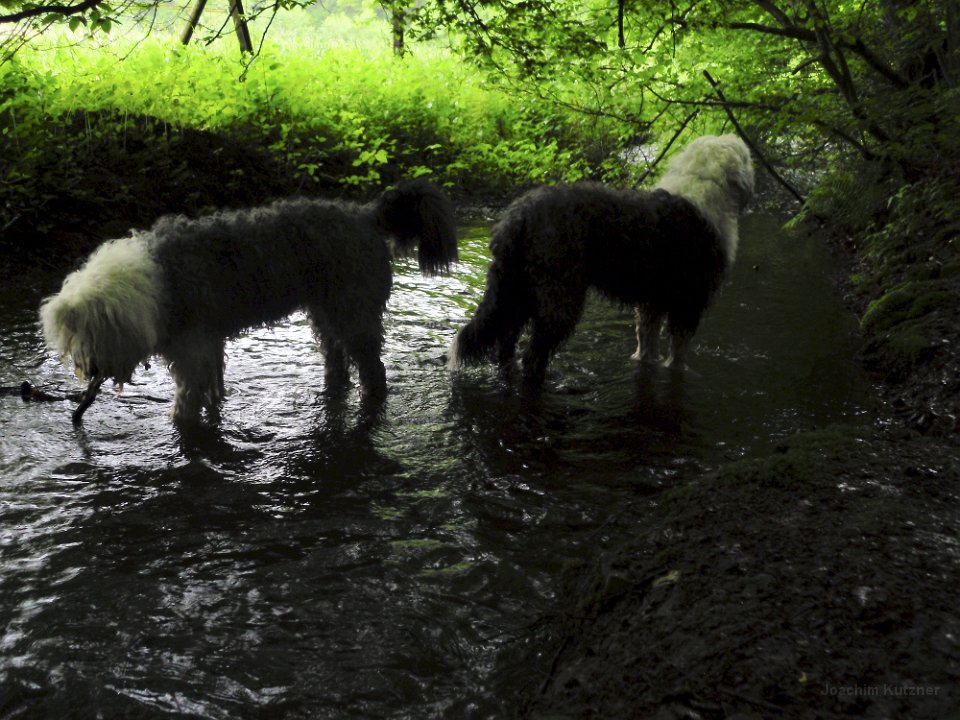 GTW 29-05-14 Jugend 10