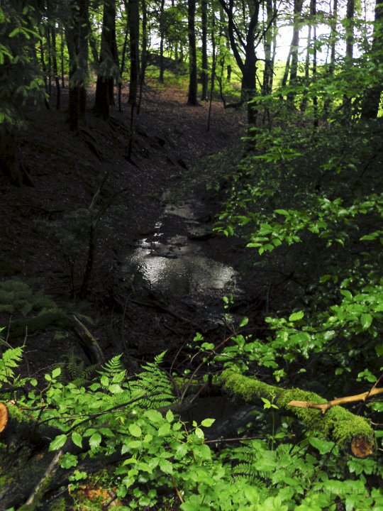 GTW 29-05-14 Jugend 12