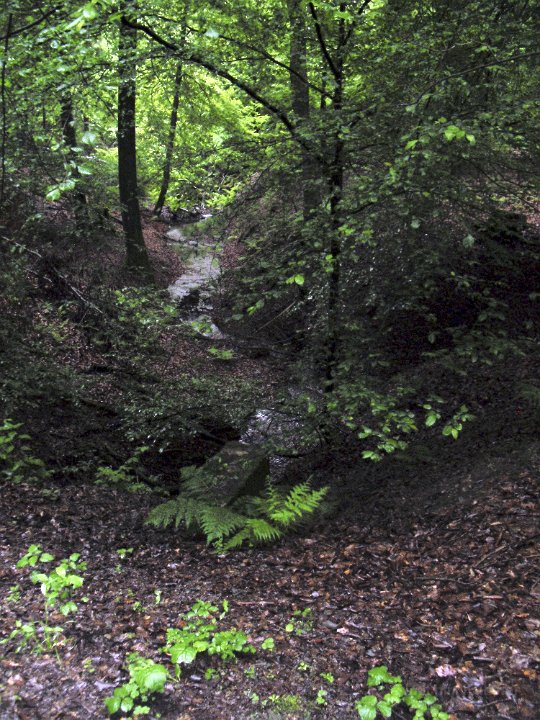 GTW 29-05-14 Jugend 13