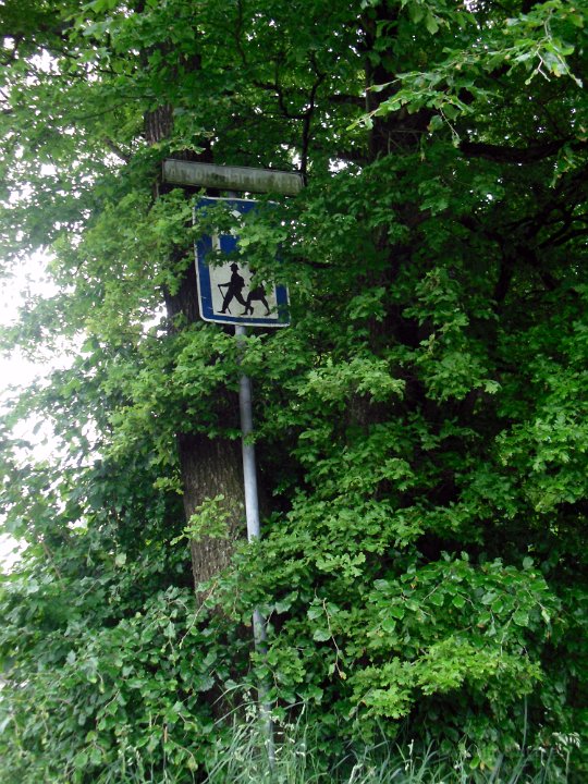 GTW 29-05-14 Jugend 14