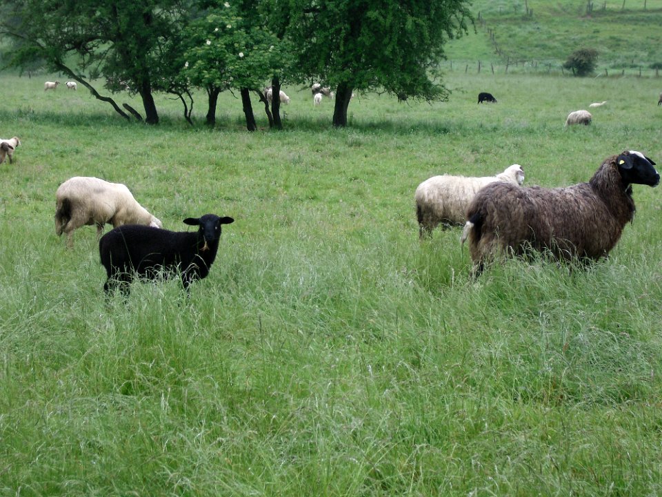 GTW 29-05-14 Jugend 17