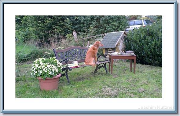 GTW 30-08-2014 Egen mar 07