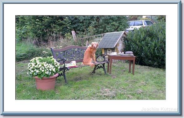 GTW 30-08-2014 Egen mar 10