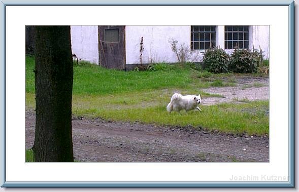 GTW 30-08-2014 Egen mar 35