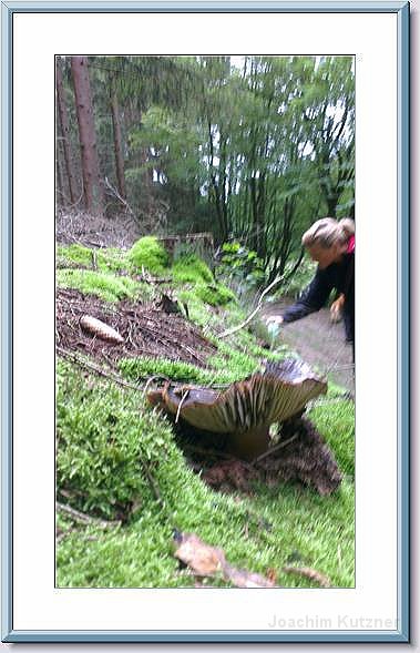 GTW 30-08-2014 Egen mar 39