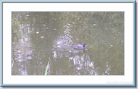 GTW 30-08-2014 Egen mar 42