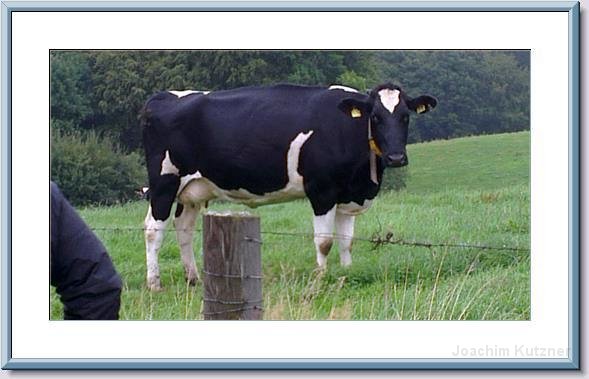 GTW 30-08-2014 Egen mar 46