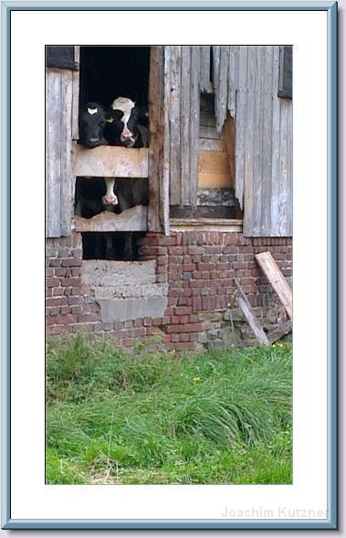 GTW 30-08-2014 Egen mar 48