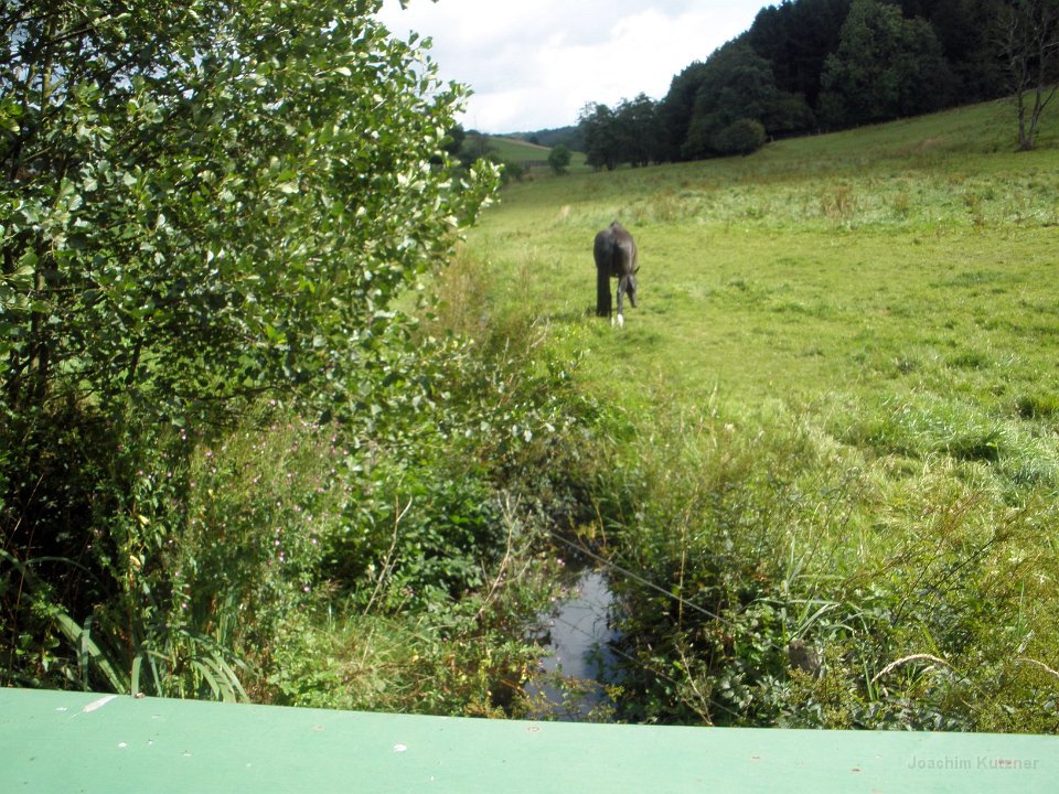 GTW 30-08-2014 Egen man 03