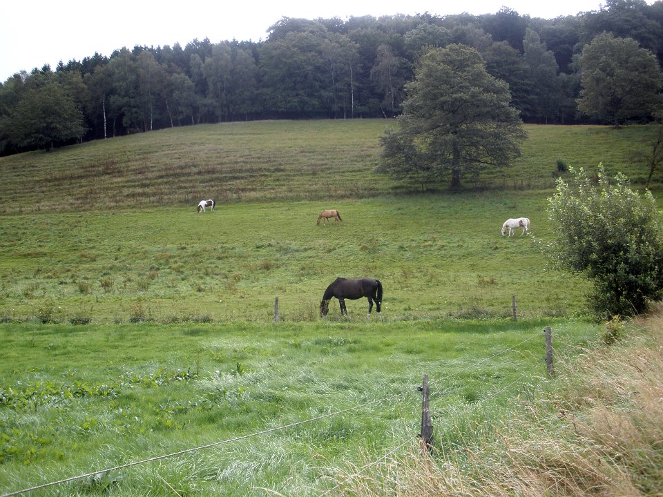 GTW 30-08-2014 Egen man 04