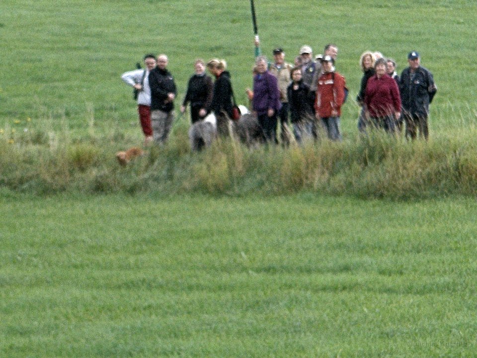 GTW 30-08-2014 Egen man 15a