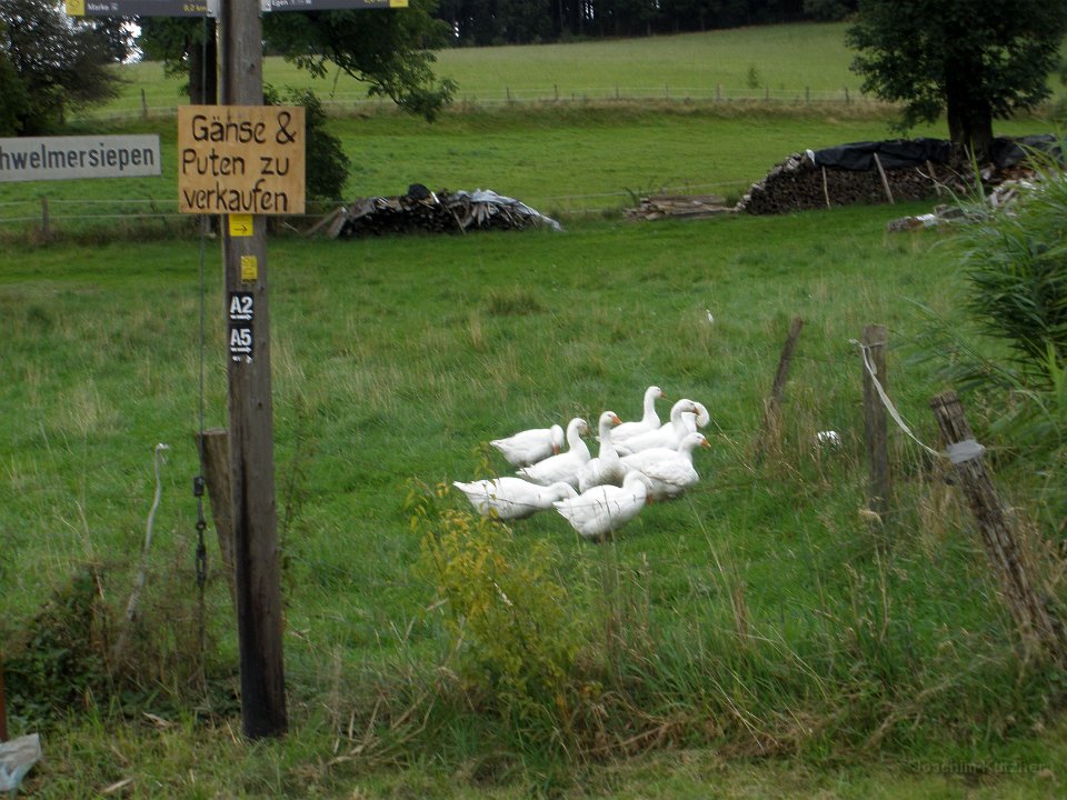 GTW 30-08-2014 Egen man 18