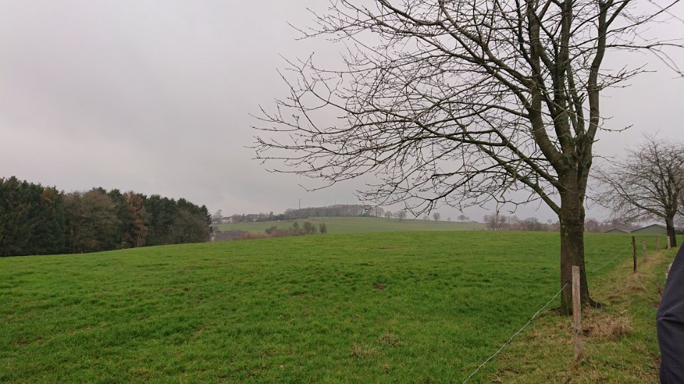 GTW-301219 Bever joe 05