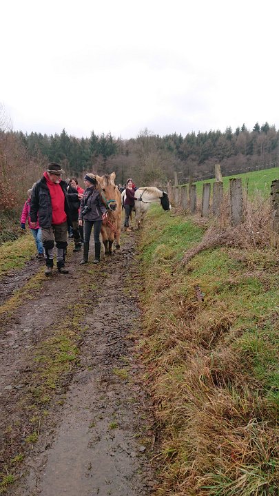 GTW-301219 Bever joe 10