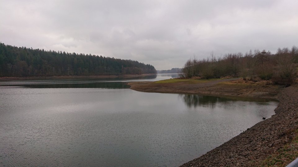 GTW-301219 Bever joe 12