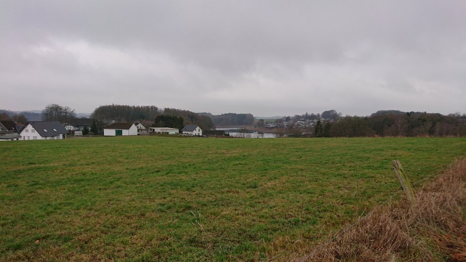 GTW-301219 Bever joe 21