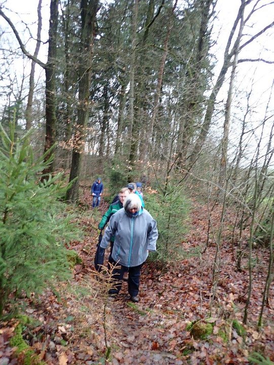 GTW-301219 Bever mar 08