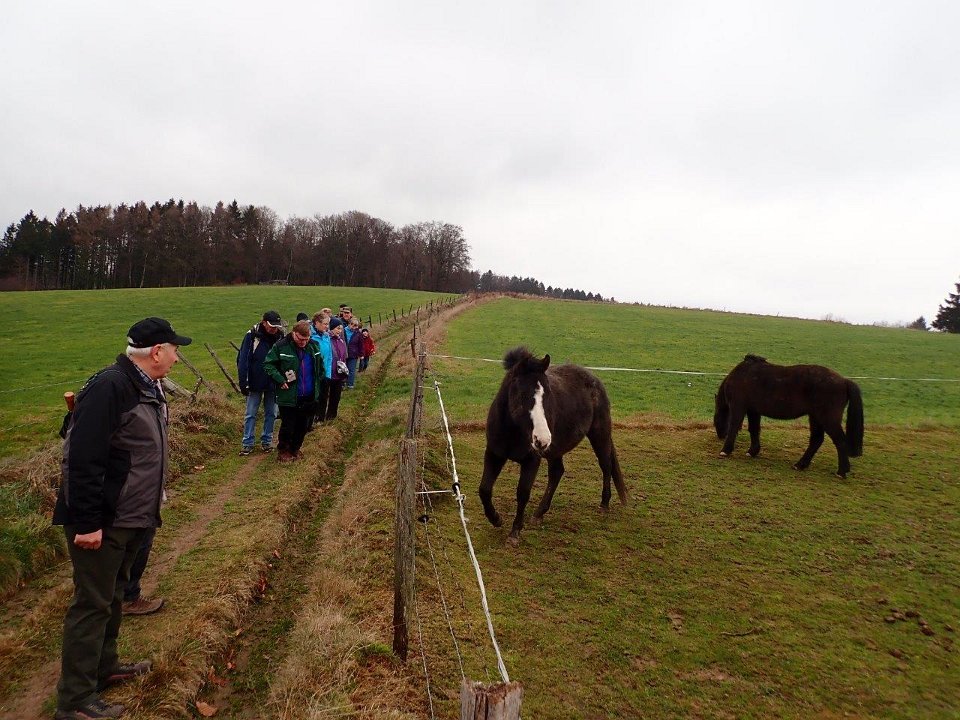 GTW-301219 Bever mar 17