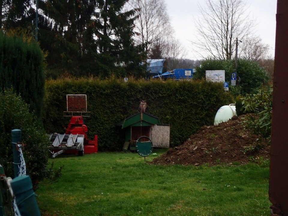 GTW-301219 Bever mar 20