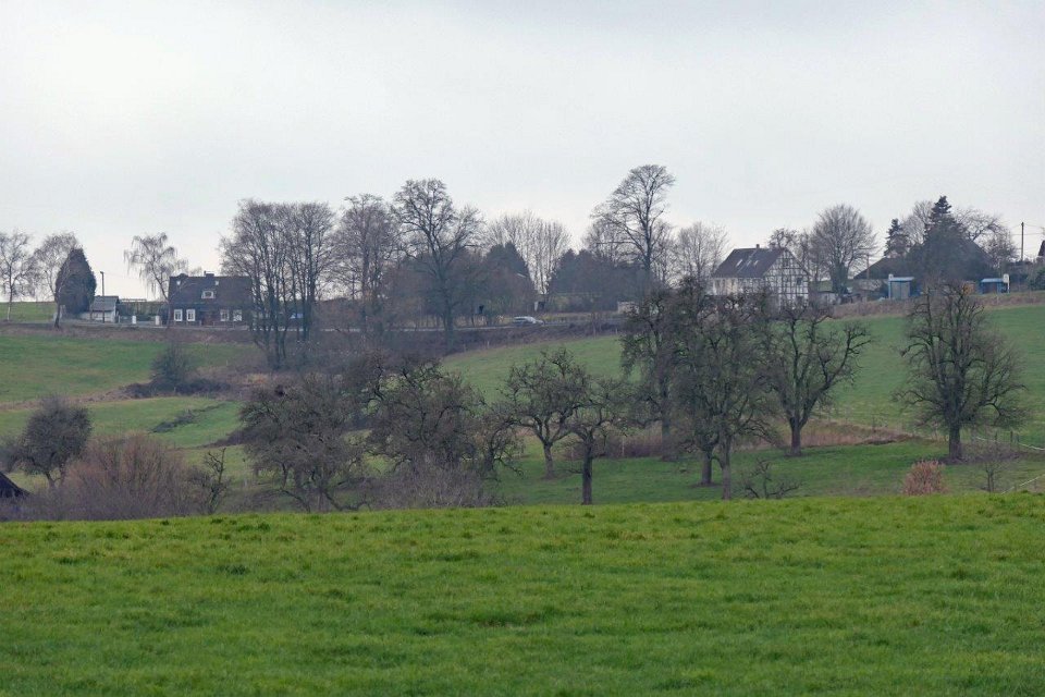 GTW-301219 Bever vin 07