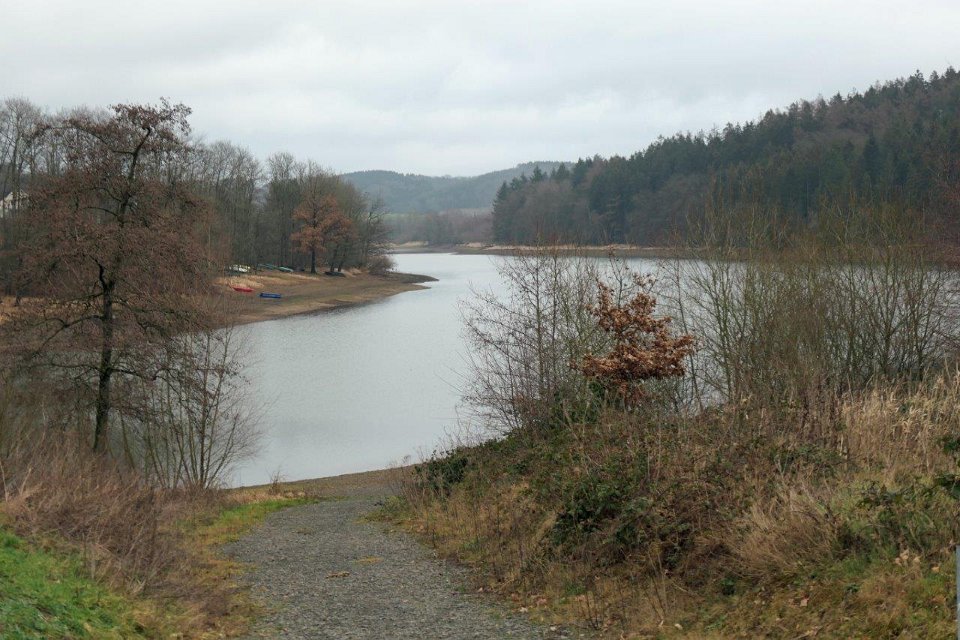 GTW-301219 Bever vin 09