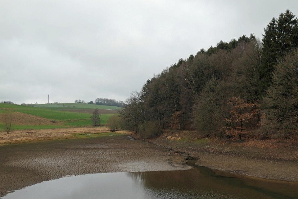 GTW-301219 Bever vin 10