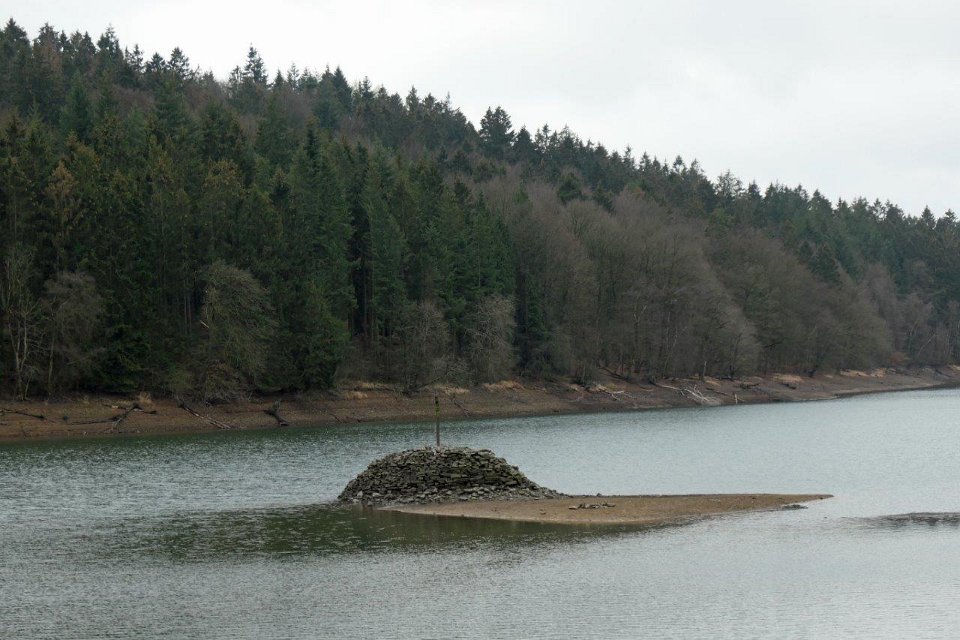 GTW-301219 Bever vin 15