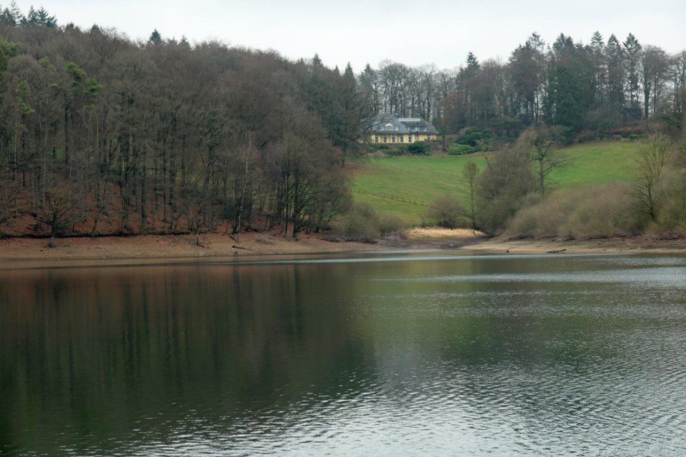 GTW-301219 Bever vin 18