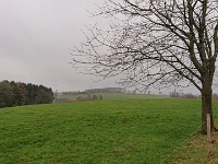 GTW-301219 Bever joe 05  Im Hintergrund erkennt man den Funkmast bei Neuenherweg.
