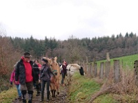 GTW-301219 Bever joe 10  Bei Siepersbever.