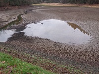 GTW-301219 Bever joe 17  Sonst ist die kleine Vorsperre an der Stooter Mühle mit Wasser gefüllt, dafür erkennt man jetzt den Verlauf des Erlenbaches.
