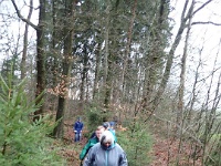 GTW-301219 Bever mar 08  Das Finkenhauser Bachtal hinauf auf schmalem Pfad