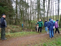 GTW-301219 Bever mar 10  Die pfiffigen Wanderer nehmen einen Ausweichpfad.