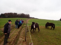 GTW-301219 Bever mar 17  Die beiden haben Spaß.