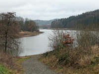 GTW-301219 Bever vin 09  Zwischen Sieperbever und Stoote