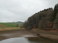 GTW-301219 Bever vin 10  In regenreicheren Jahren ist diese kleine Vorsperre gefüllt und bietet einem Schwarm Kanadagänsen einen Winterruheplatz. Der Bach kommt von Pleuse/Fockenhausen herunter.