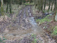 problemzone  Der Weg von Eckenhausen zur Bever ist zur "Regenzeit" im unteren Teil kaum begehbar.
