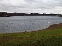 PC310011  Die Bucht an der "Zornigen Ameise" - im Sommer voller Badegäste, haben sie im Winter die Wasservögel in Besitz genommen.