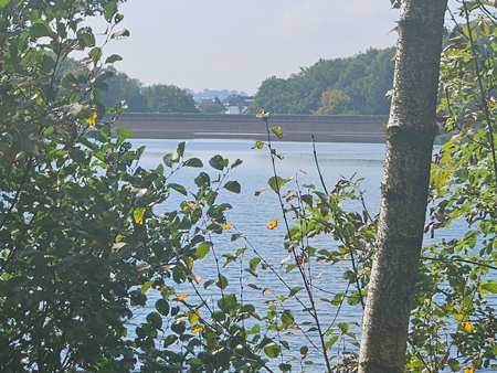 Blick auf den Damm der Silbertalsperre