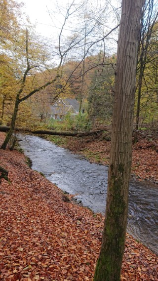 Eifgenbach mit Neumühle - (c) Joachim Kutzner