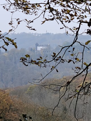 Burg Hohenscheid (vom Pfaffenberg aus gesehen) - (c) Joachim Kutzner